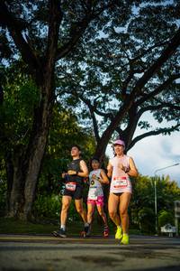 BIB: 
                            <button type="button" onclick="openModal(26551491)" class="btn btn-primary btn-sm float-right btn-popup" data-toggle="modal" data-target=".modal-high-quality">
                        <i class="fas fa-shopping-cart"></i> Add to Cart
                    </button>
                                            <button type="button" onclick="isThisMe(26551491, true)" class="btn btn-success btn-sm float-right btn-popup btn-isme hidden" data-toggle="tooltip" data-placement="bottom" title="นี่คือรูปของคุณใช่ไหม คลิกที่นี่เพื่อเอาเข้าอัลบั้ม">
                        <i class="fas fa-plus"></i> Add to album
                    </button>
                    <button type="button" onclick="isThisMe(26551491, false)" class="btn btn-warning btn-sm float-right btn-popup btn-isnotme hidden">
                        <i class="fas fa-ban"></i> Remove from album
                    </button>